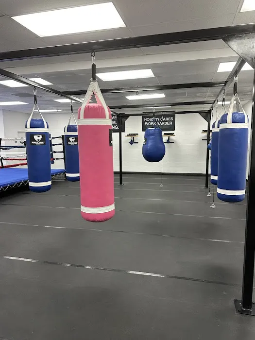 KO Boxing and Fitness Picture 3