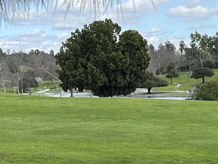La Mirada Community Gymnasium Picture 1
