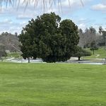 La Mirada Community Gymnasium