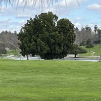 La Mirada Community Gymnasium ico