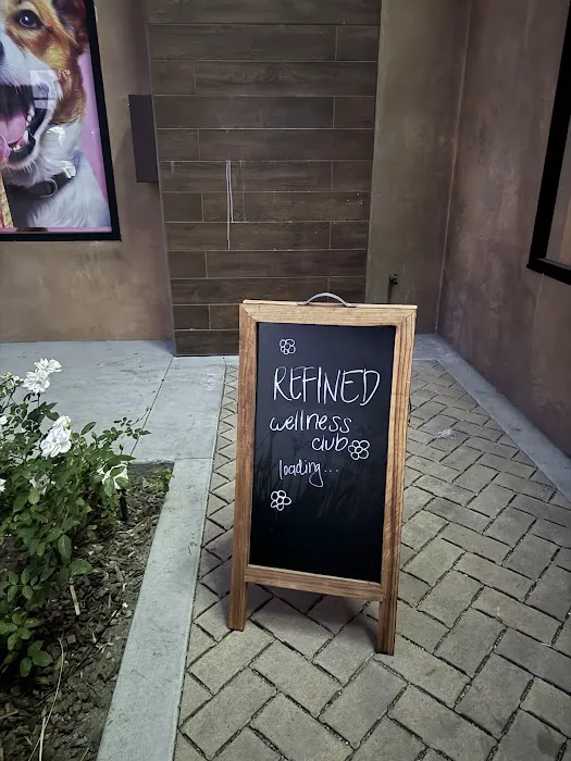 Refined Pilates Studio Picture 3