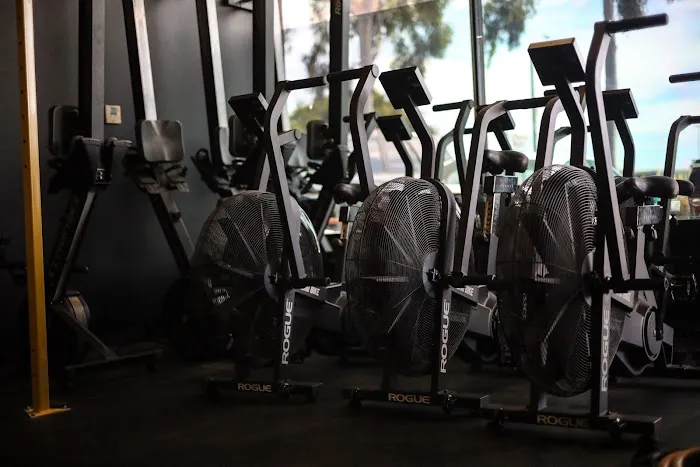 5 Points Crossfit Picture 7