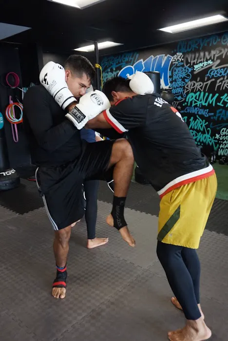 Shred Systm USA Picture 5