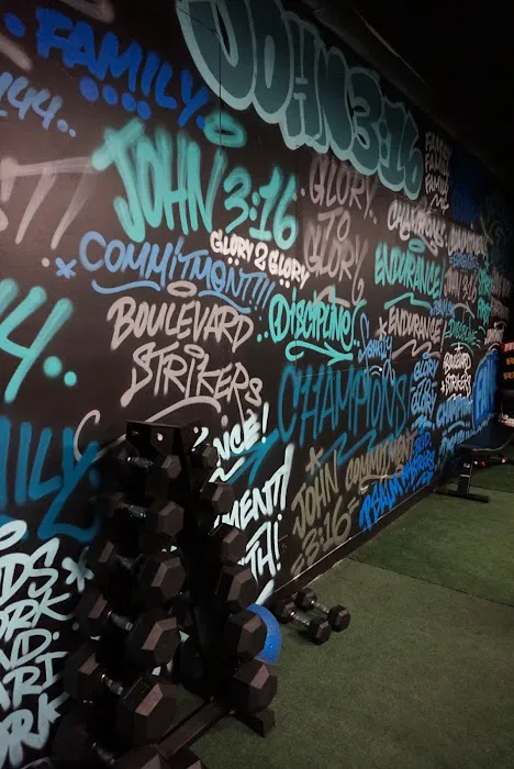 Shred Systm USA Picture 3