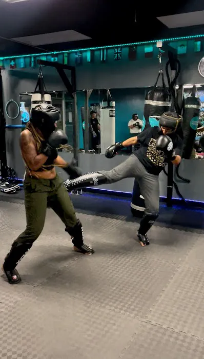 Shred Systm USA Picture 6