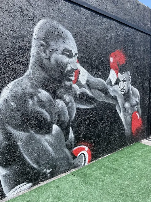 Shred Systm USA Picture 4