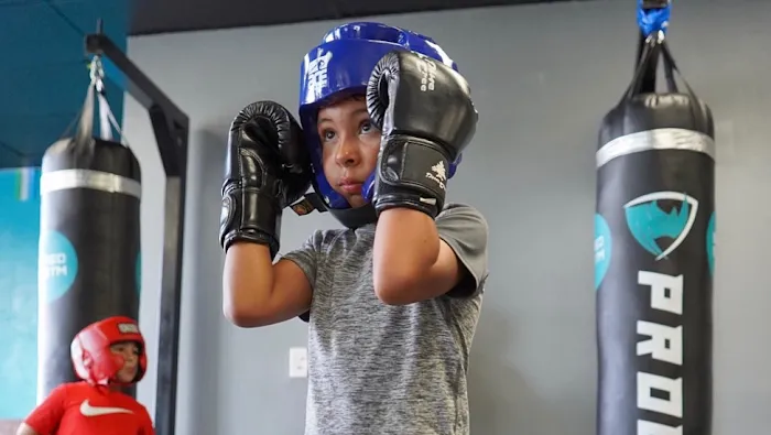 Shred Systm USA Picture 1