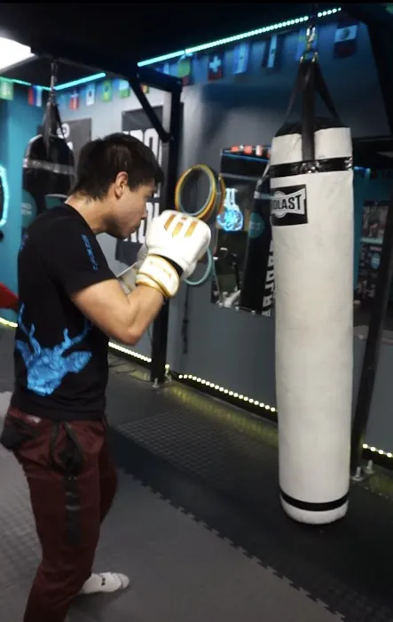 Shred Systm USA Picture 7