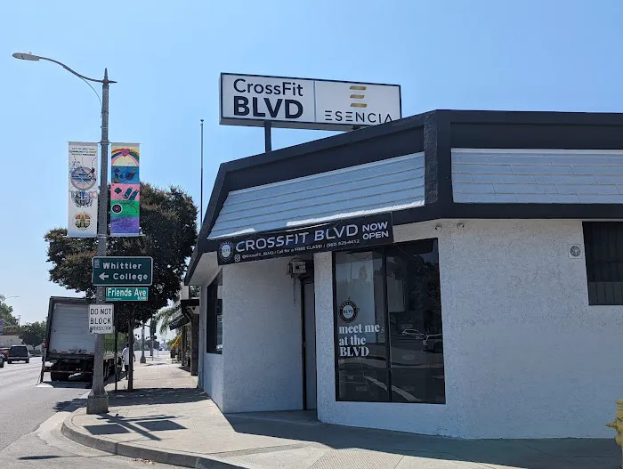 Crossfit Blvd Picture 6