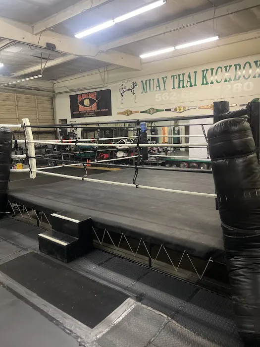 Valdez Muay Thai Kickboxing Picture 9