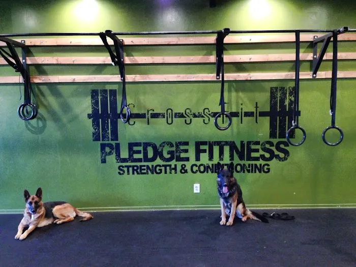 Pledge Fitness Picture 9