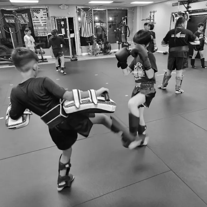 King Cobra Muay Thai and Kickboxing Picture 3