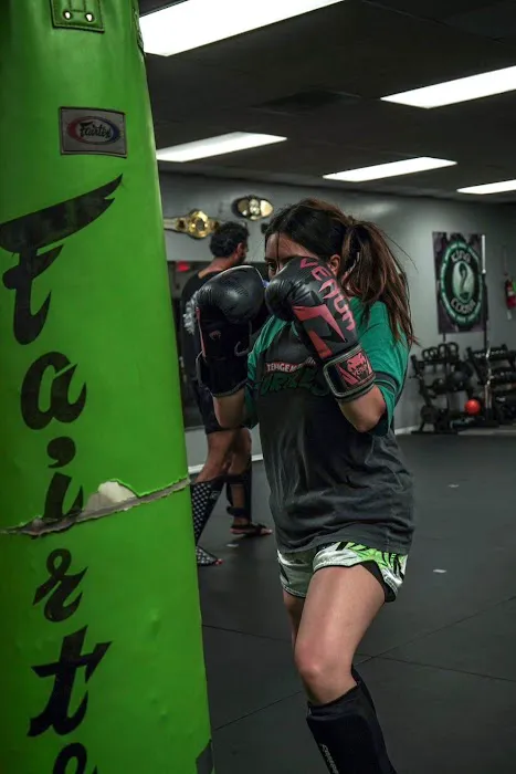 King Cobra Muay Thai and Kickboxing Picture 7