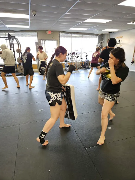 King Cobra Muay Thai and Kickboxing Picture 6