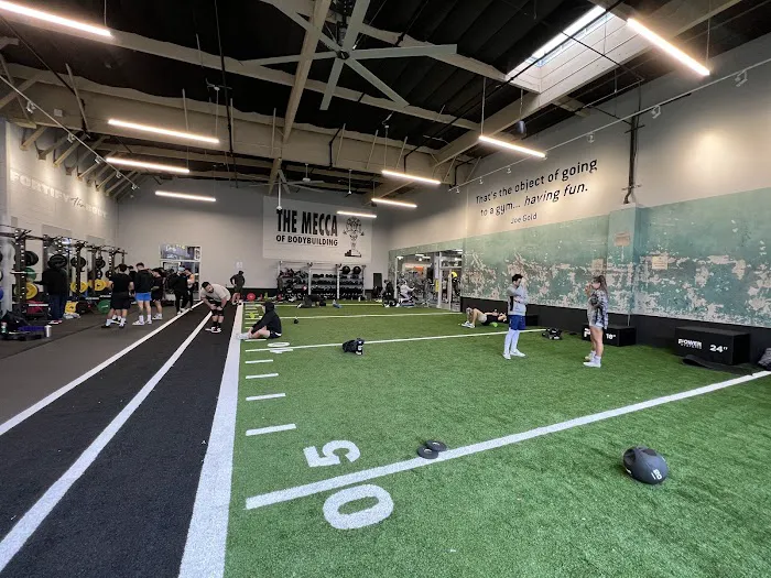 Gold's Gym Cerritos Picture 8