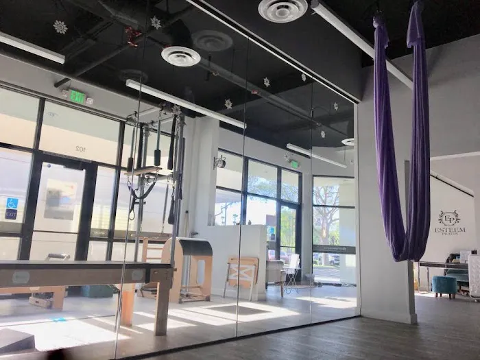 Esteem Pilates & Aerial Fitness Picture 7