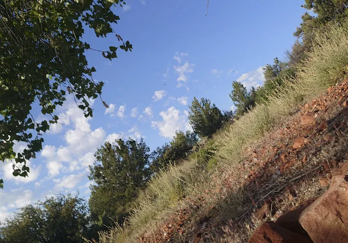 Body & Brain Yoga Tai Chi Picture 5