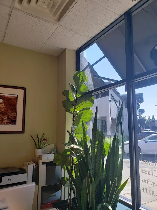 Body & Brain Yoga Tai Chi Picture 1