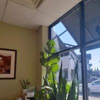 Body & Brain Yoga Tai Chi ico