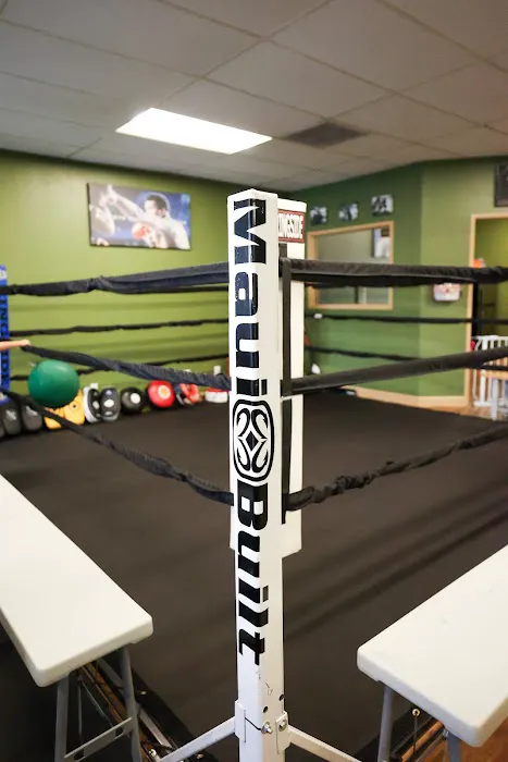 Sakada Boxing Picture 1