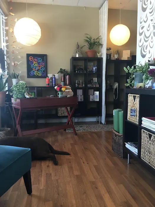 Balanced Energy Studios Picture 8