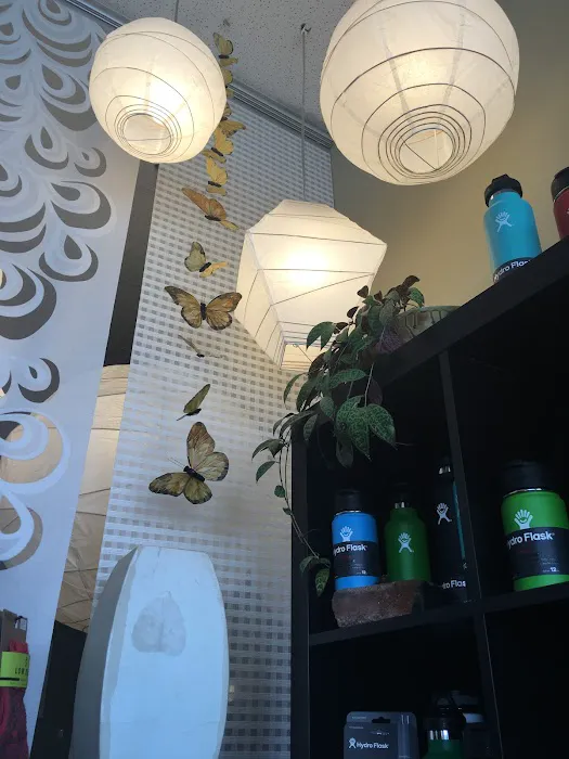 Balanced Energy Studios Picture 10