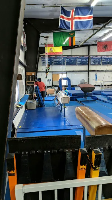 Eric Will Gymnastic Center Picture 8