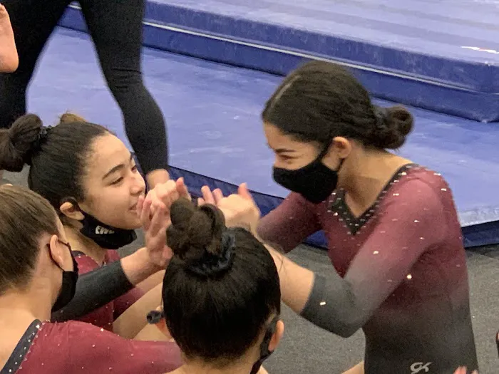 Eric Will Gymnastic Center Picture 6