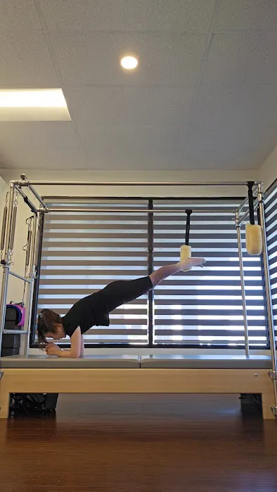 wellfit pilates Picture 1