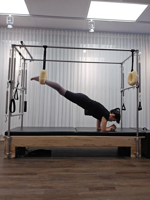 wellfit pilates Picture 3