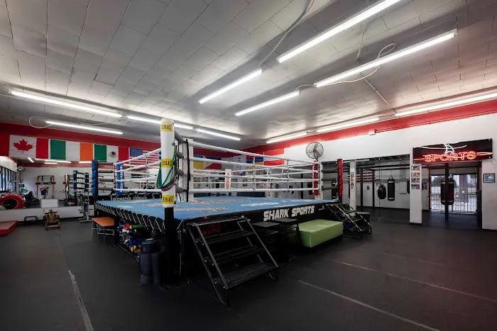 Shark Sports Boxing Gym Picture 7