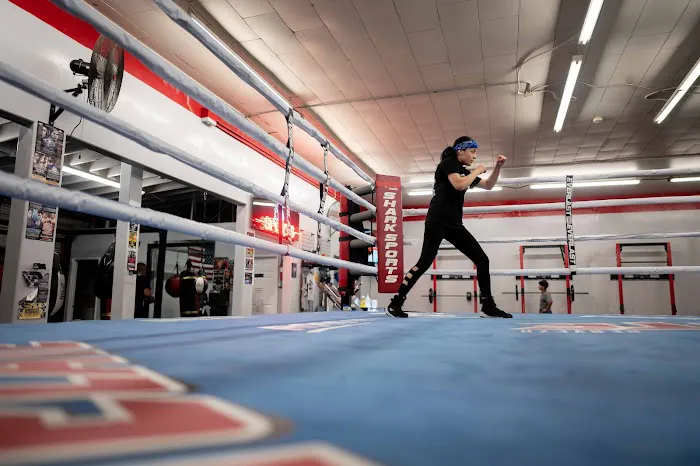 Shark Sports Boxing Gym Picture 3
