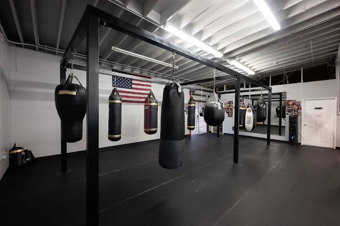 Shark Sports Boxing Gym Picture 6