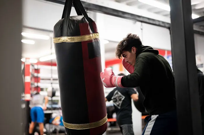 Shark Sports Boxing Gym Picture 10