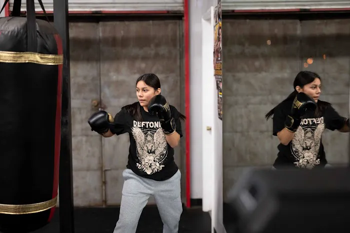 Shark Sports Boxing Gym Picture 8