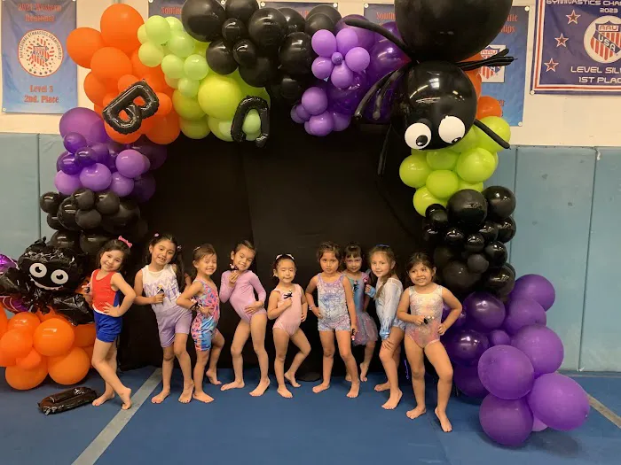 Twisters Gymnastics Picture 5