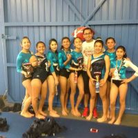 Twisters Gymnastics ico