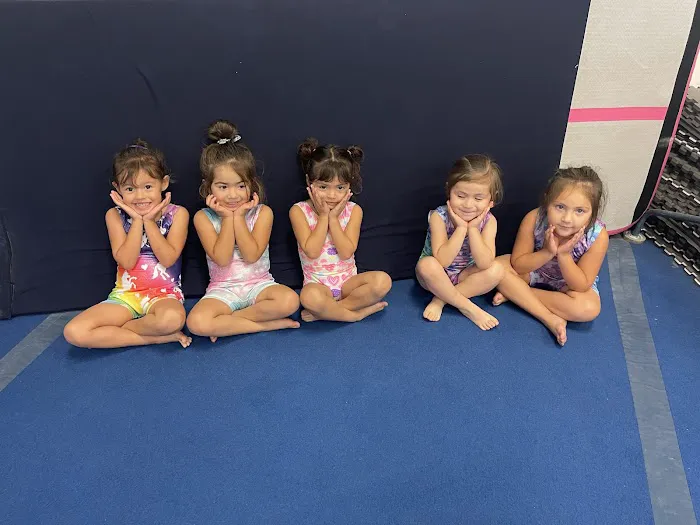 Twisters Gymnastics Picture 4