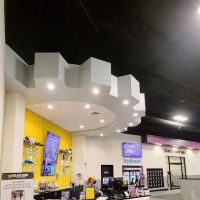Planet Fitness ico