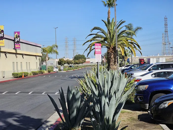 Planet Fitness Picture 10