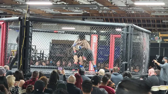 Metroflex Gym Picture 10