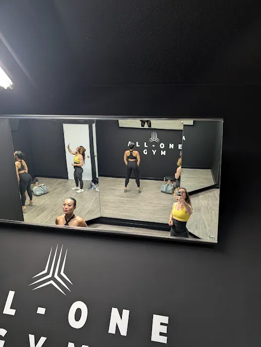 ALL-ONE GYM Picture 4