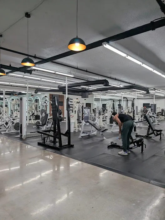 ALL-ONE GYM Picture 2