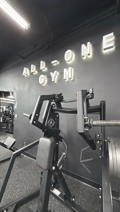 ALL-ONE GYM Picture 3