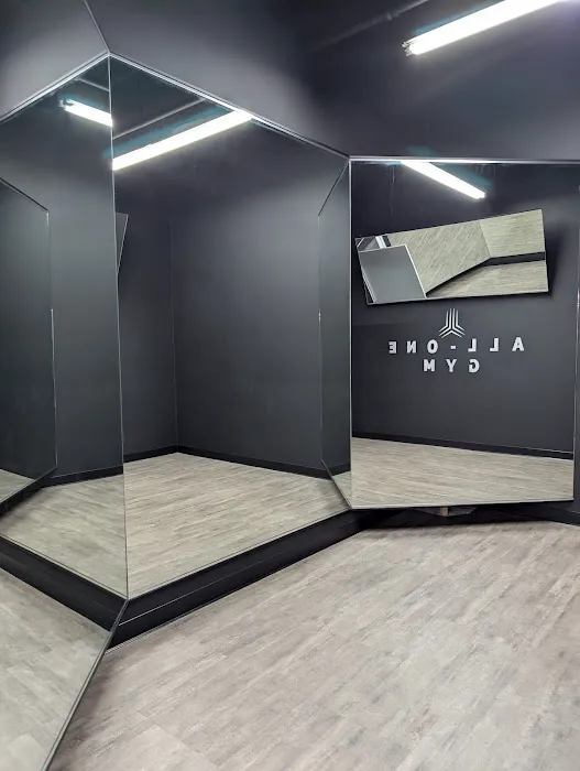 ALL-ONE GYM Picture 9