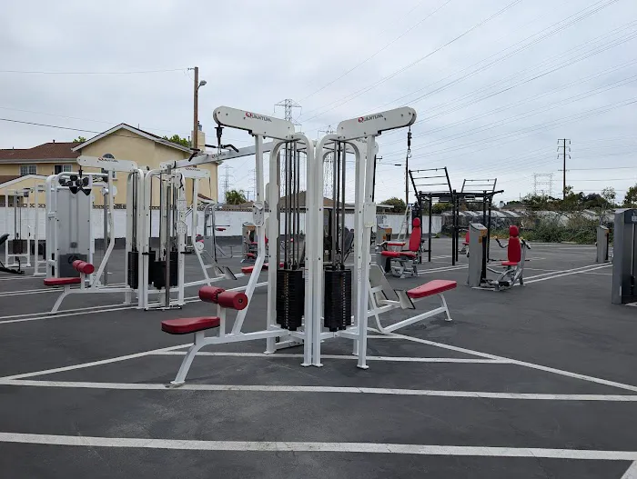 ALL-ONE GYM Picture 10