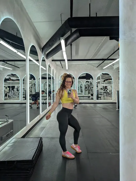 ALL-ONE GYM Picture 6