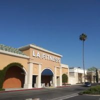 LA Fitness ico