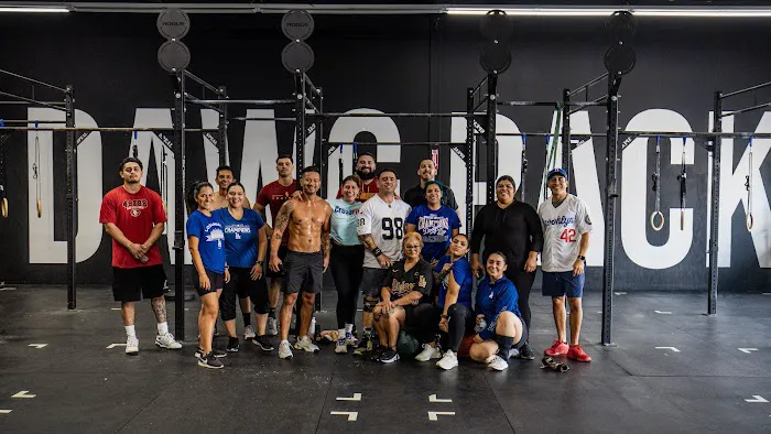 Dawg Pack CrossFit Picture 8
