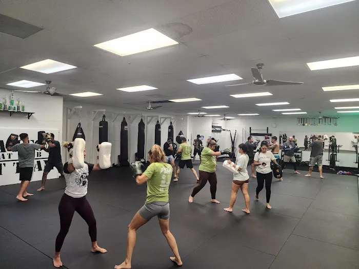 Mata Leon Combat Club Picture 10